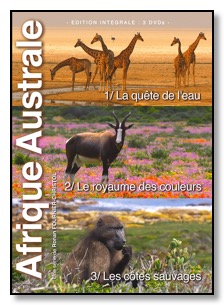 affiche Afrique Australe 123 petite