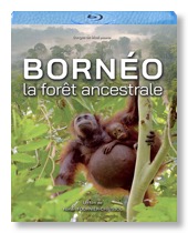 BD Bornéo