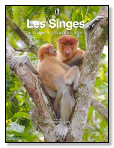 Affiche singes nasiques