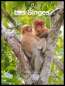 Affiche singes nasiques